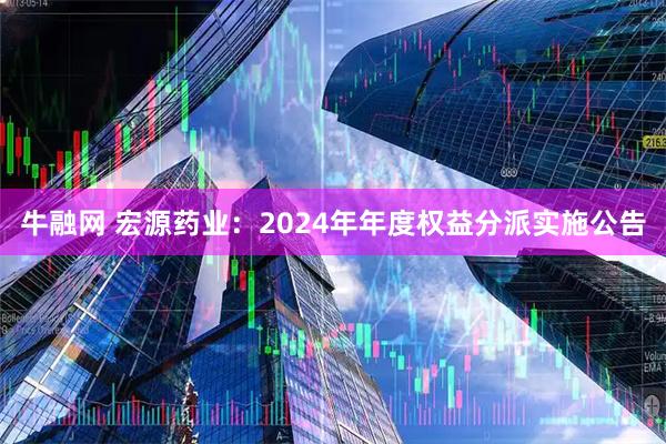 牛融网 宏源药业：2024年年度权益分派实施公告